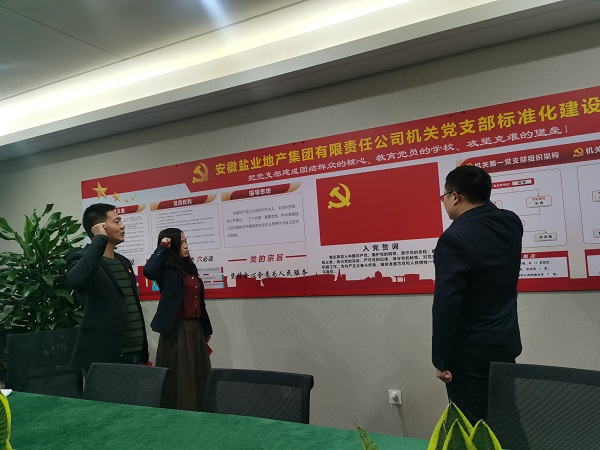 安徽鹽業(yè)地產(chǎn)集團機關第一黨支部開展“佩黨徽、誦誓詞、贈黨章、上黨課”黨員教育活動