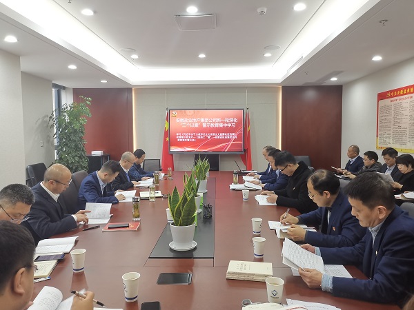 安徽鹽業(yè)地產集團公司開展新一輪深化“三個以案”警示教育集中學習