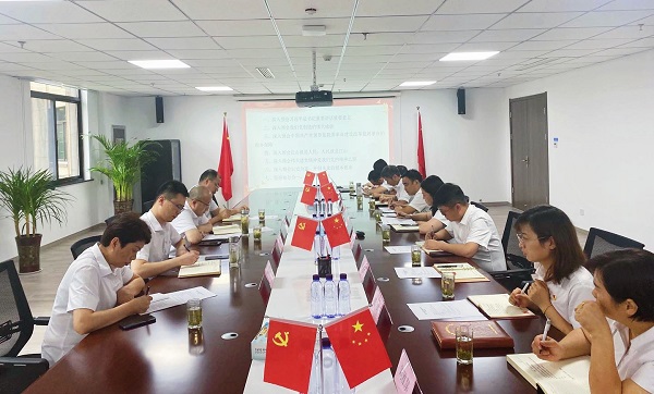 王晟督導(dǎo)徽鹽地產(chǎn)霍邱項目支部專題組織生活會