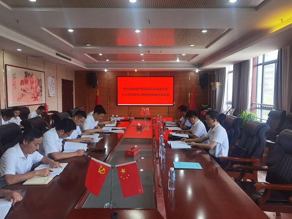 高廣飛督導(dǎo)徽鹽地產(chǎn)集團定遠(yuǎn)項目黨支部組織生活會